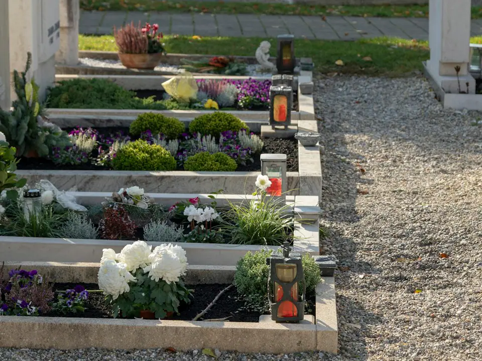 Gepflegte Gräber mit frisch bepflanzten Beeten, weissen Blumen und Grablichtern